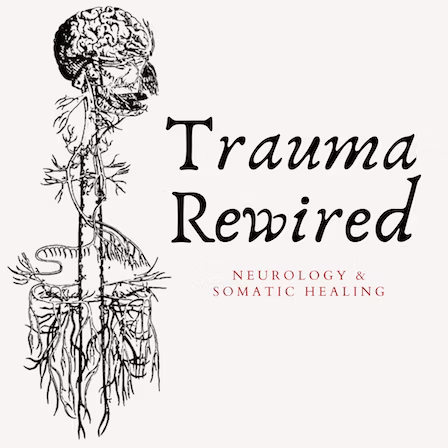 Featured image for “Trailer: Relationships and Your Nervous System”