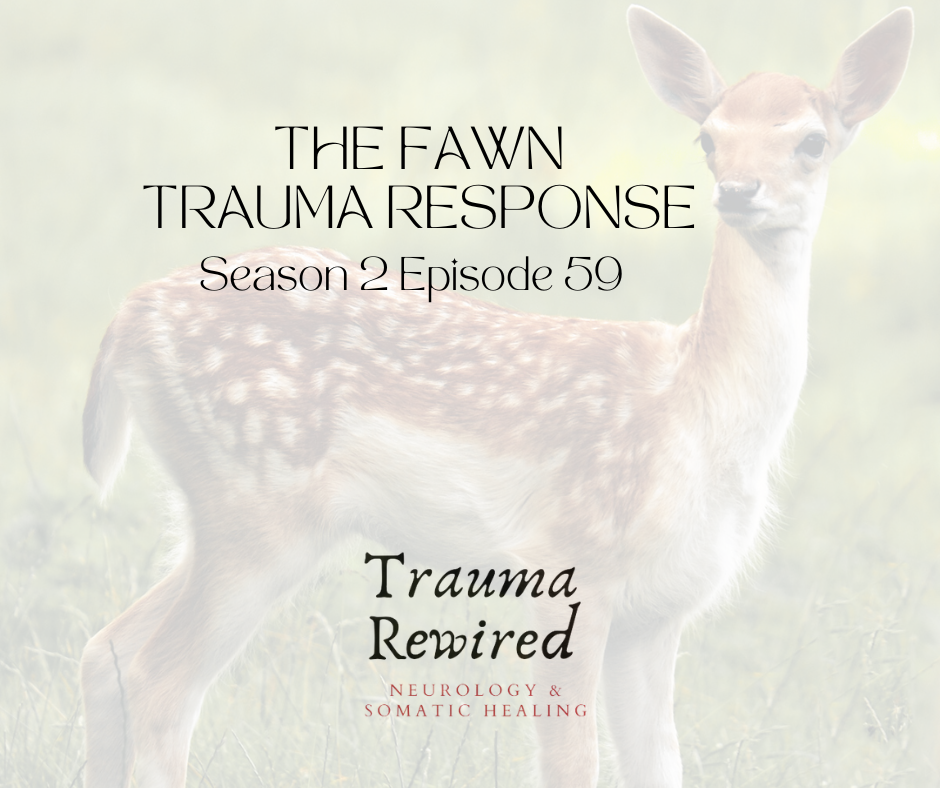 Featured image for “The Fawn Trauma Response”