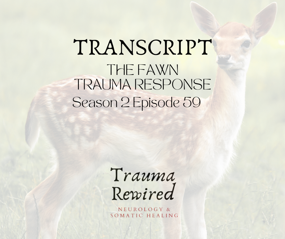 Featured image for “S2 E59 TRANSCRIPT The Fawn Trauma Response”