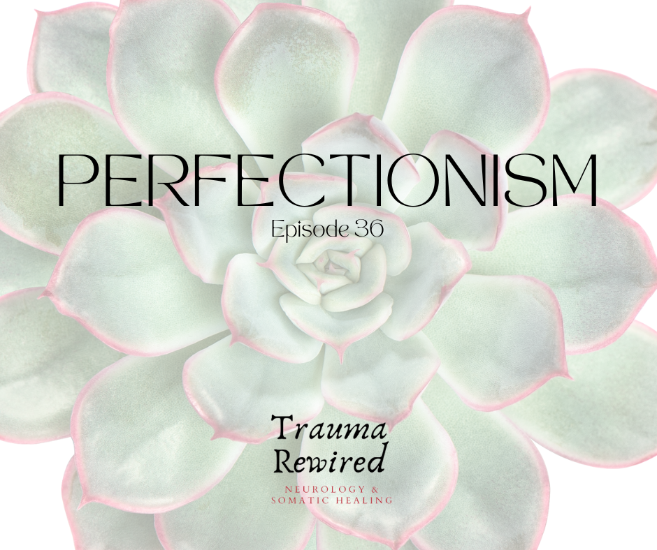 Featured image for “Perfectionism is a Trauma Response”