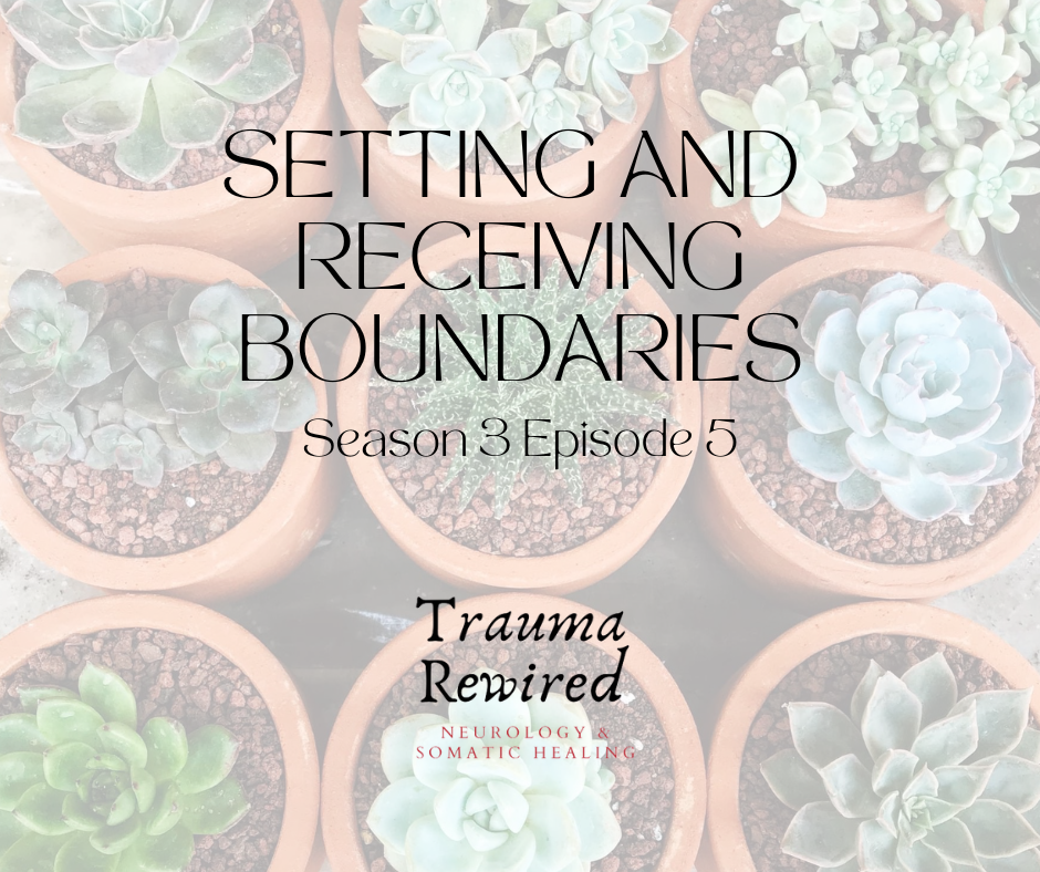 Featured image for “Setting and Receiving Boundaries”