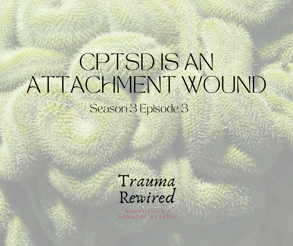 Featured image for “cPTSD is an Attachment Wound”