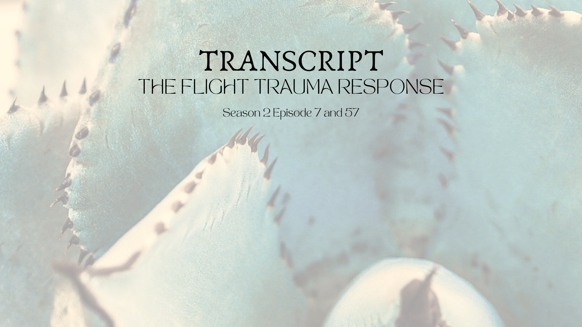 Featured image for “S2 E57 & 7 TRNSCPT The Flight Trauma Response”