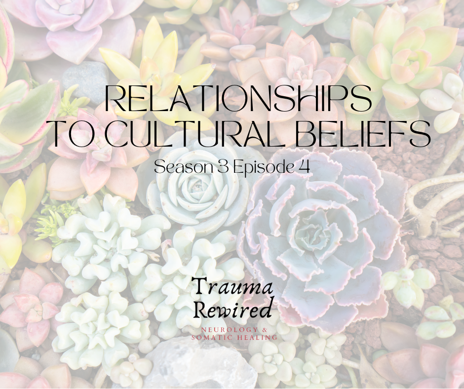 Featured image for “Relationships to Cultural Beliefs”