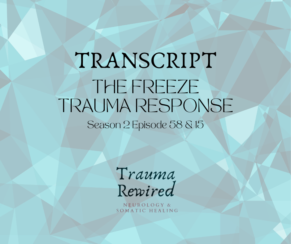Featured image for “S2 E57 TRANSCRIPT The Freeze Trauma Response”