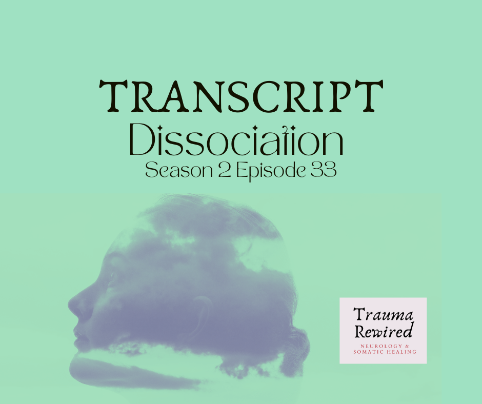 Featured image for “S2 E33 TRNSCPT Dissocation”