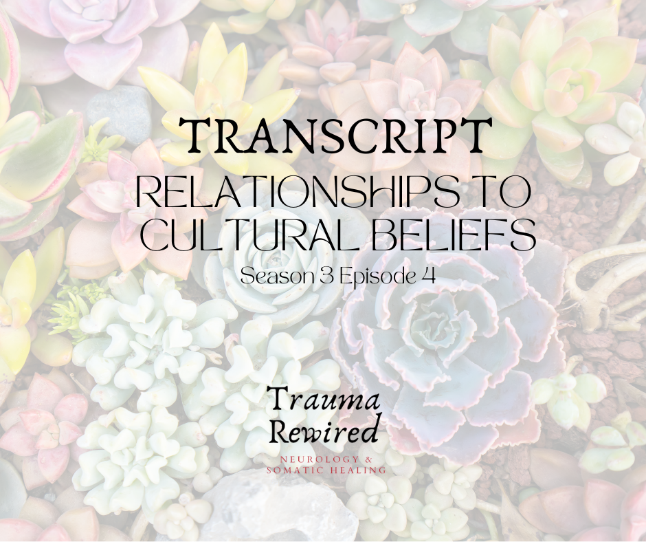 Featured image for “S3 E4 TRNSCPT Relationships to Cultural Beliefs”