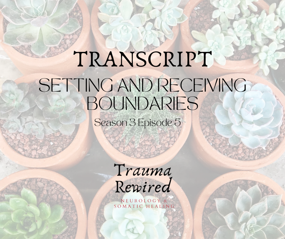 Featured image for “S3 E5 TRNSCPT Setting and Receiving Boundaries”