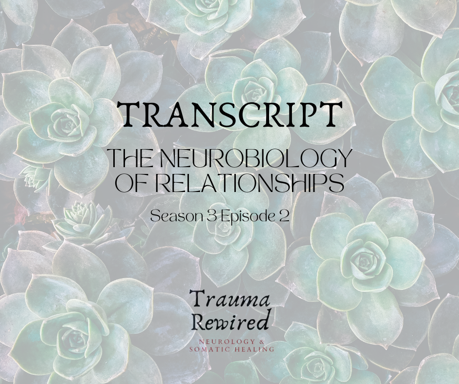 Featured image for “S3E2 TRNSCPT Neurobiology of Relationships”