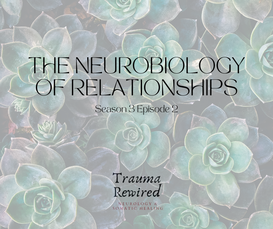 Featured image for “Social Connection, Survival and the Neurobiology of Relationships”