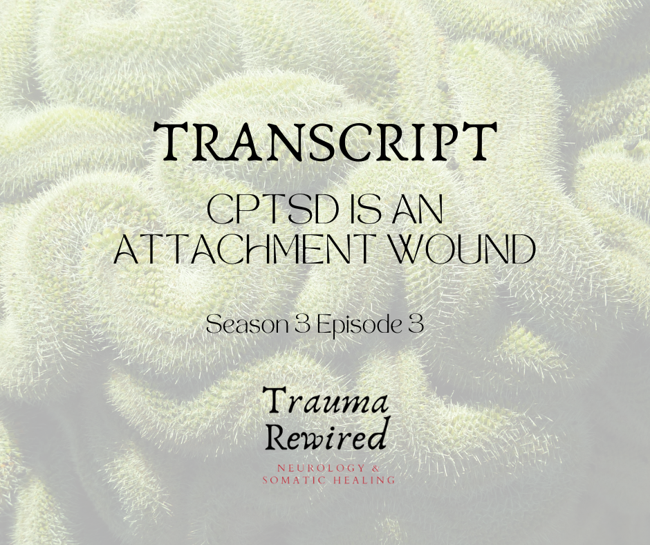 Featured image for “S3E3 TRNSCPT cPTSD is an Attachment Wound”