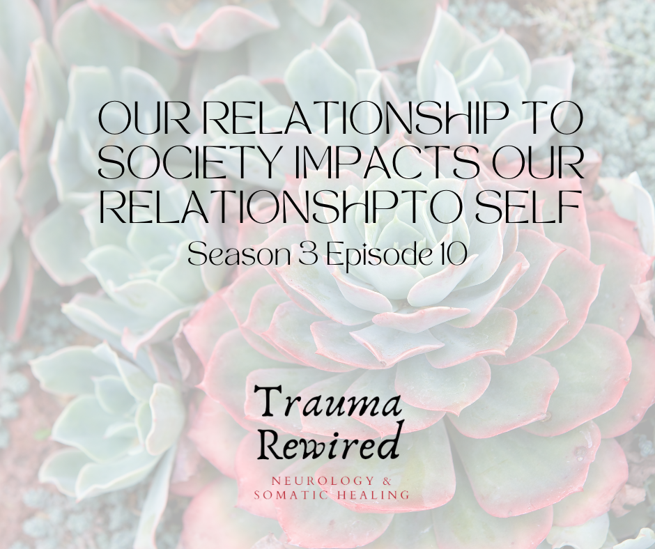 Featured image for “Our Relationship to Society Impacts Our Relationship to Self”