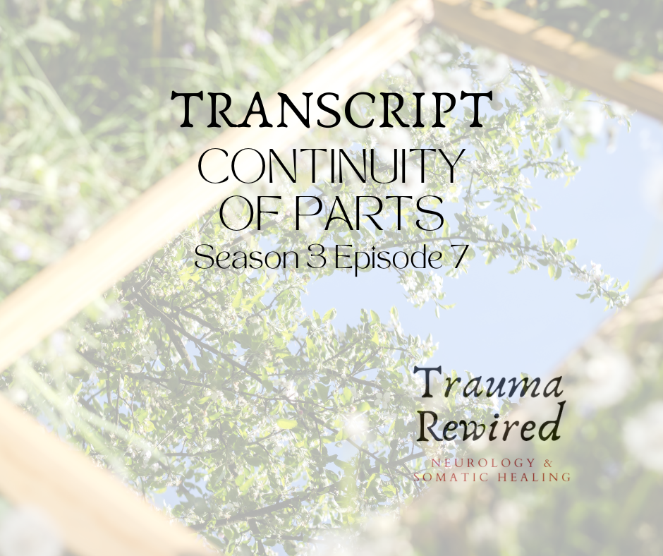 Featured image for “S3 E7 TRNSCPT Continuity of Parts”