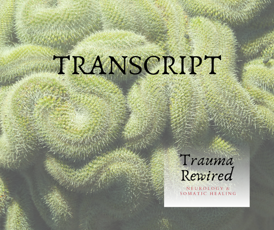 Featured image for “S3 E25 TRANSCRIPT: Attachment is the Root of Complex Trauma”